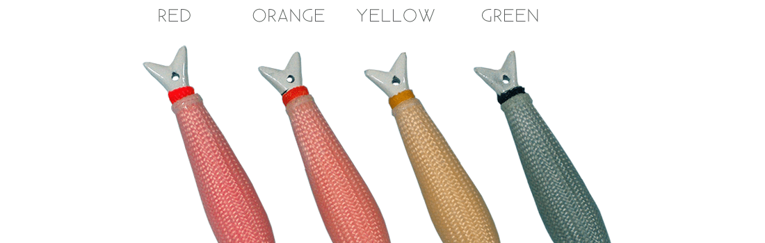 debela-spanjolka-DTD-boje