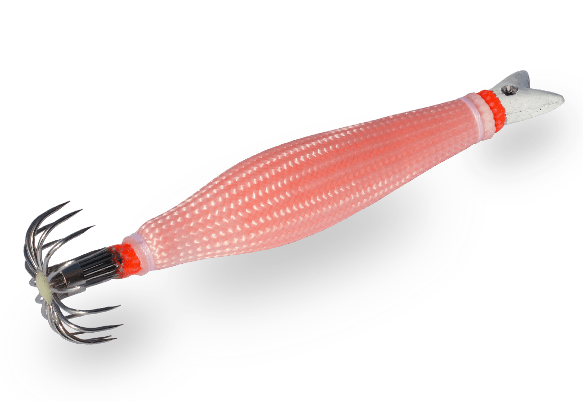 debela-spanjolka-DTD