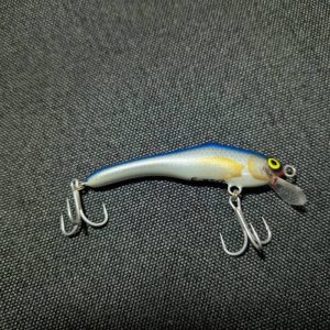 mon-dok-9-f-bluefish