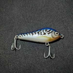 mon-dok-project-7-mackerel