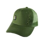 carp-spirit-logo-baseball-cap