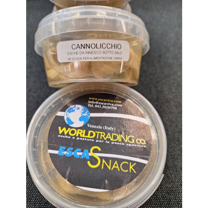Cannolicchio
