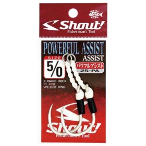 shout-powerful-assist