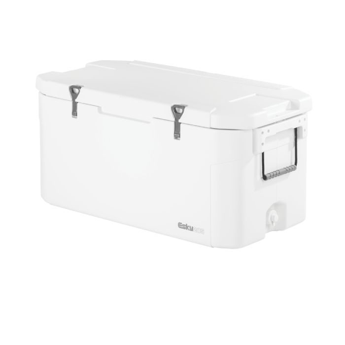 coleman-esky-205qt