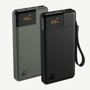 Powerbank_B10